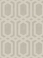 Hexagon Wallpaper AN61307 by Pelican Prints Wallpaper for sale at Wallpapers To Go