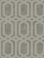 Hexagon Wallpaper AN61308 by Pelican Prints Wallpaper for sale at Wallpapers To Go