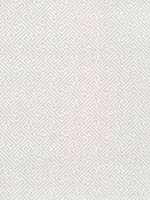 Charlotte Raffia Light Taupe Wallpaper AT9839 by Anna French Wallpaper for sale at Wallpapers To Go