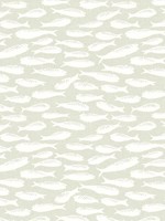 Nunkie Sage Sardine Wallpaper 312210514 by Chesapeake Wallpaper for sale at Wallpapers To Go