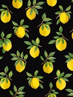 Lemoncello Black Wallpaper DB20400 by NextWall Wallpaper for sale at Wallpapers To Go