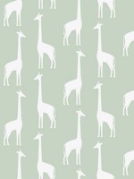 Vivi Sage Giraffe Wallpaper WTG-242238 by Chesapeake Wallpaper for sale at Wallpapers To Go
