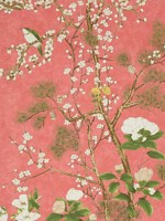 Katsura Coral Wallpaper WTG-243345 by Thibaut Wallpaper for sale at Wallpapers To Go
