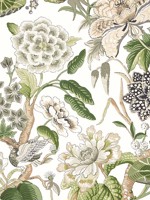 Hill Garden White and Green Wallpaper WTG-243354 by Thibaut Wallpaper for sale at Wallpapers To Go