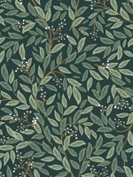 Willowberry Emerald Peel and Stick Wallpaper WTG-245078 by Rifle Paper Co Wallpaper for sale at Wallpapers To Go