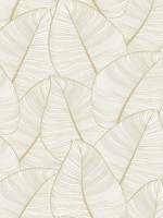 Casa Mia Lined Leaves Peel and Stick Wallpaper WTG-246325 by Casa Mia Wallpaper for sale at Wallpapers To Go