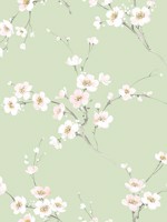 Cherry Blossoms Dnipro Peel and Stick Wallpaper WTG-246328 by Casa Mia Wallpaper for sale at Wallpapers To Go