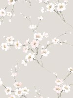 Cherry Blossoms Lviv Peel and Stick Wallpaper WTG-246329 by Casa Mia Wallpaper for sale at Wallpapers To Go