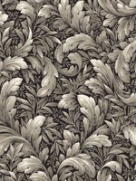 Acanthus Trail Charcoal Peel and Stick Wallpaper WTG-249844 by NextWall Wallpaper for sale at Wallpapers To Go