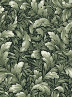 Acanthus Trail Forest Green Peel and Stick Wallpaper WTG-249846 by NextWall Wallpaper for sale at Wallpapers To Go