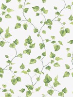Just Ivy Green Wallpaper WTG-250270 by Galerie Wallpaper for sale at Wallpapers To Go