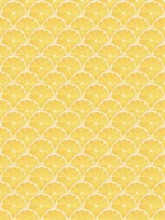 Lemon Scallop Yellow Wallpaper WTG-250277 by Galerie Wallpaper for sale at Wallpapers To Go