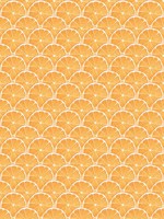 Lemon Scallop Orange Wallpaper WTG-250278 by Galerie Wallpaper for sale at Wallpapers To Go