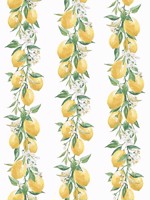 Lemon Stripe Yellow White Green Wallpaper WTG-250280 by Galerie Wallpaper for sale at Wallpapers To Go
