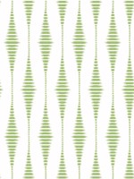 Striped Ikat Macaw Green Peel and Stick Wallpaper WTG-250925 by NextWall Wallpaper for sale at Wallpapers To Go