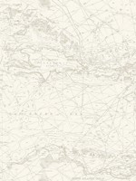 Charts Taupe Nautical Chart Wallpaper WTG-254667 by Chesapeake Wallpaper for sale at Wallpapers To Go