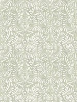 Elma Sage Fiddlehead Wallpaper WTG-255245 by A Street Prints Wallpaper for sale at Wallpapers To Go