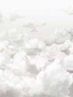 Clouds Stone Grey 4 Panel Mural WTG-257003 by Galerie Wallpaper for sale at Wallpapers To Go