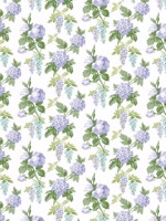 Mini Rose Purple Turquoise Green Wallpaper WTG-259794 by Patton Norwall Wallpaper for sale at Wallpapers To Go