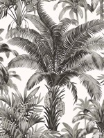 Palm Grove Inkwell Peel and Stick Wallpaper WTG-260672 by Casa Mia Wallpaper for sale at Wallpapers To Go