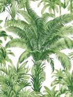 Palm Grove Greenery Peel and Stick Wallpaper WTG-260675 by Casa Mia Wallpaper for sale at Wallpapers To Go