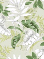 Tropical Leaves Spring Green Peel and Stick Wallpaper WTG-260677 by Casa Mia Wallpaper for sale at Wallpapers To Go