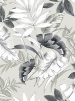 Tropical Leaves Pavestone Peel and Stick Wallpaper WTG-260679 by Casa Mia Wallpaper for sale at Wallpapers To Go