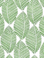 Spot Leaves Greenery Peel and Stick Wallpaper WTG-260682 by Casa Mia Wallpaper for sale at Wallpapers To Go