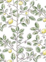 Limoncello Toile Green Wallpaper WTG-261631 by York Wallpaper for sale at Wallpapers To Go