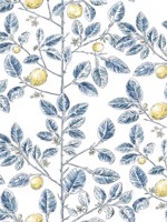 Limoncello Toile Blue Wallpaper WTG-261633 by York Wallpaper for sale at Wallpapers To Go