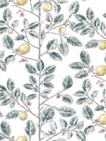 Limoncello Toile Forest Wallpaper WTG-261634 by York Wallpaper for sale at Wallpapers To Go