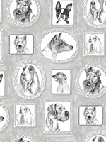 Pup Portraits Silver Peel and Stick Wallpaper WTG-263229 by Surface Style Wallpaper for sale at Wallpapers To Go