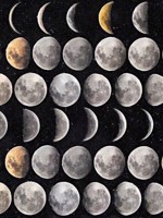 Moon Phases Full Pallette Wallpaper WTG-264544 by Mind the Gap Wallpaper for sale at Wallpapers To Go