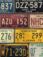 License Plates Mutlicolored Peel and Stick Wallpaper WTG-264766 by NextWall Wallpaper for sale at Wallpapers To Go