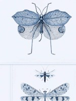 Entomology Blue Taupe Wallpaper WTG-264948 by Mind the Gap Wallpaper for sale at Wallpapers To Go