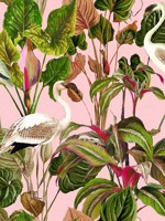 Beverly Hills Pink Green Pink White Wallpaper WTG-265410 by Mind the Gap Wallpaper for sale at Wallpapers To Go