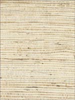 Grasscloth Wallpaper NE590 by Astek Wallpaper for sale at Wallpapers To Go