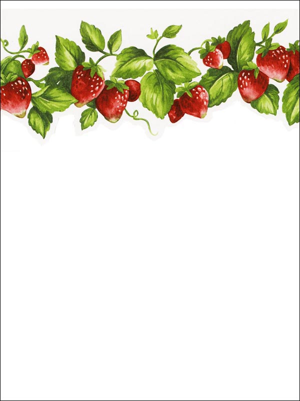 Strawberries Border FK72635DC by Norwall Wallpaper for sale at Wallpapers To Go