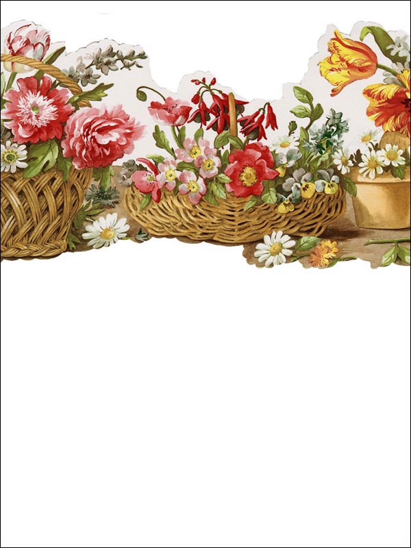 Flowers Border FK78464DC by Norwall Wallpaper for sale at Wallpapers To Go
