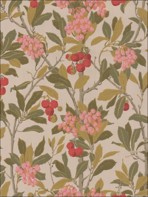 Strawberry Tree Pink and Linen Wallpaper 10010047 by Cole and Son Wallpaper for sale at Wallpapers To Go