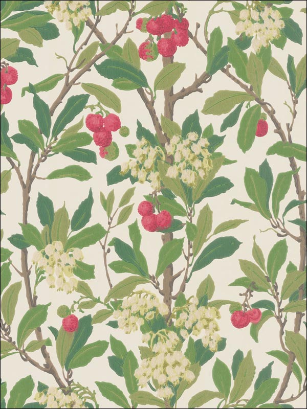 Strawberry Tree Scarlet and Ivory Wallpaper 10010049 by Cole and Son Wallpaper for sale at Wallpapers To Go