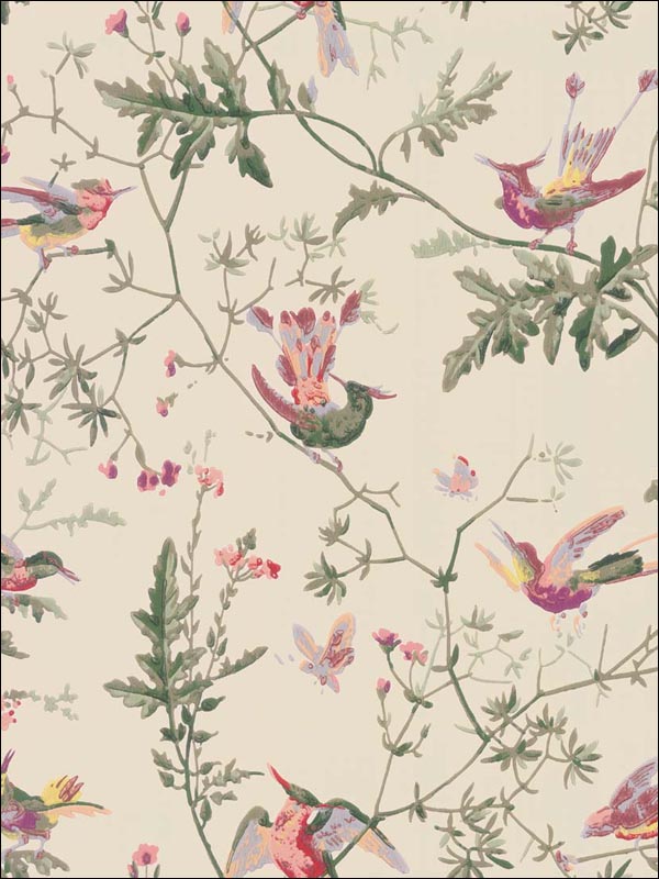 Hummingbirds Original Multi Color Wallpaper 10014071 by Cole and Son Wallpaper for sale at Wallpapers To Go