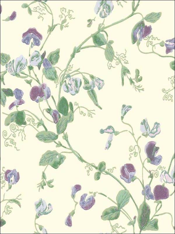 Sweet Pea Violet Wallpaper 1006030 by Cole and Son Wallpaper for sale at Wallpapers To Go