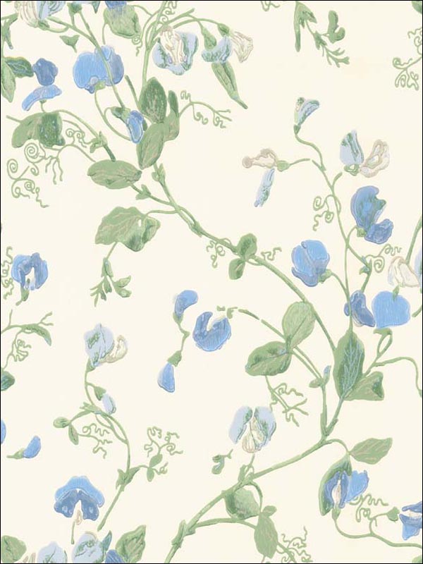 Sweet Pea Blue Wallpaper 1006031 by Cole and Son Wallpaper for sale at Wallpapers To Go
