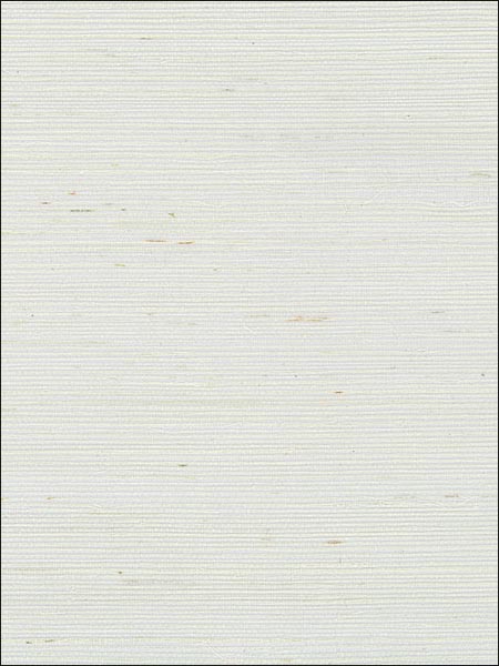 Extra Fine Sisal Pearl White Wallpaper 488411 by Patton Wallpaper for sale at Wallpapers To Go