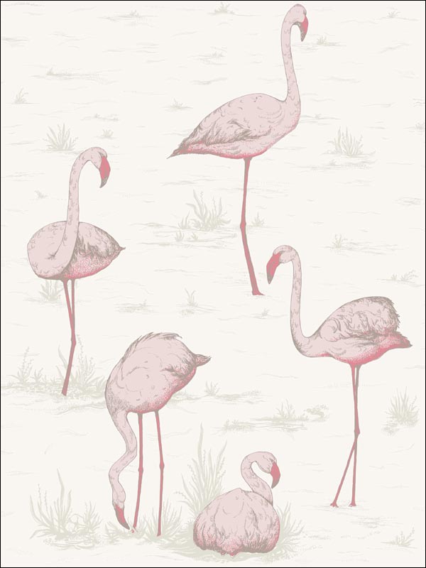 Flamingos Pink White Wallpaper 958045 by Cole and Son Wallpaper for sale at Wallpapers To Go