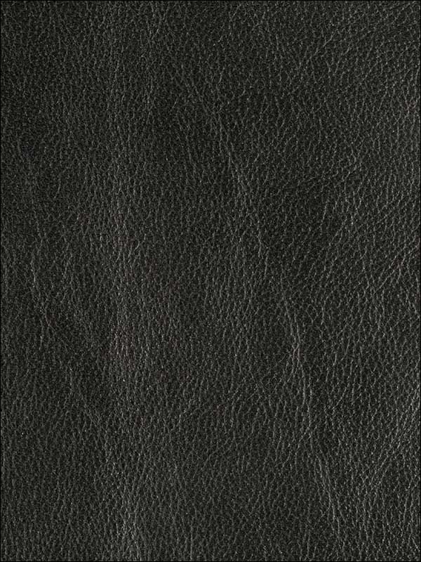 Trophy Graphite Upholstery Fabric GWL34068 by Groundworks Fabrics for sale at Wallpapers To Go