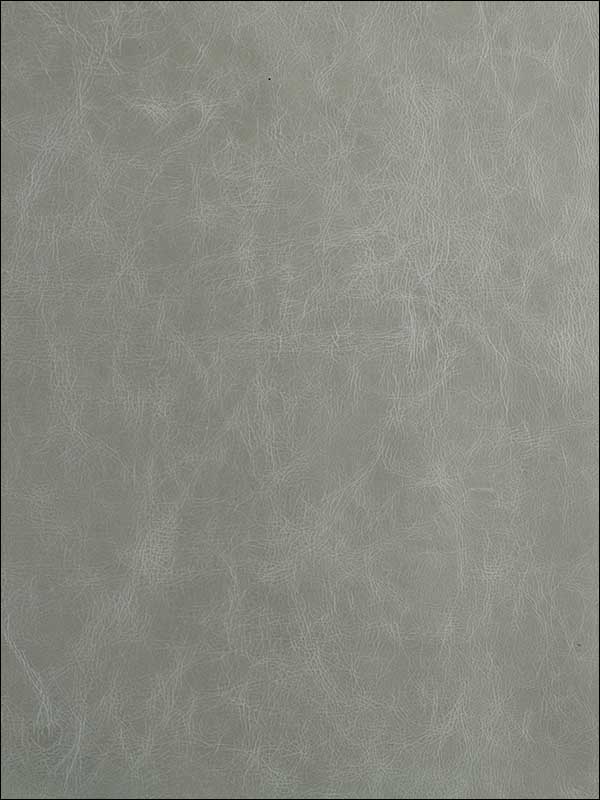 Notorious Grey Upholstery Fabric GWL340711 by Groundworks Fabrics for sale at Wallpapers To Go