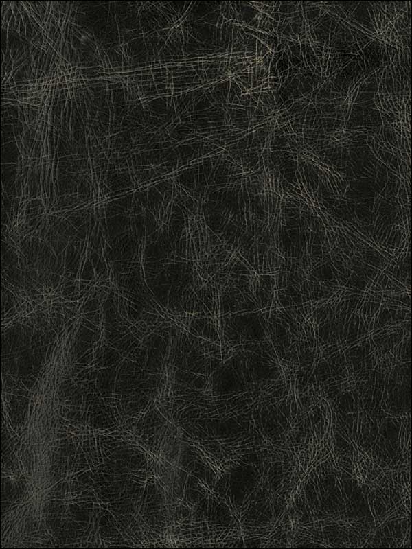 Notorious Black Upholstery Fabric GWL34078 by Groundworks Fabrics for sale at Wallpapers To Go