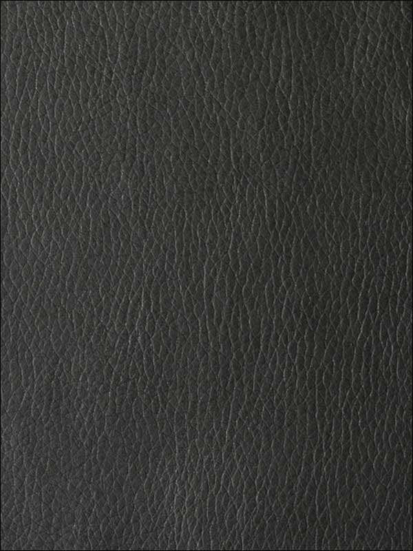 Valera Noir Upholstery Fabric VALERA8 by Kravet Fabrics for sale at Wallpapers To Go